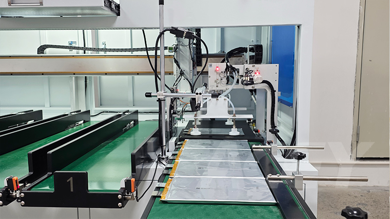 Pouch cell sorting machine